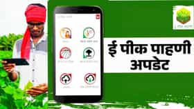 शेतकर्‍यांसाठी आनंदवार्ता! ई-पीक पाहणीत मोठा बदल, ते ओझे हलके.