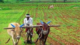 शेतकऱ्यांसाठी आनंदाची बातमी, सरकारचा मोठा निर्णय.