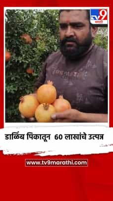 डाळिंब पिकातून 60 लाखांचे उत्पन्न, शेतकऱ्याने जिद्दीने बहरली बाग-1698331