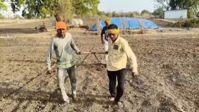 बाजारात बैलजोडीची किंमत ८० हजार ते एक लाख रुपयांपर्यंत पोहोचली असल्याचे शहाणे सांगतात. आर्थिक परिस्थितीमुळे हा खर्च करणे शक्य नसल्याने मुलांच्या मदतीने औत ओढण्याचा निर्णय घ्यावा लागल्याचे त्यांनी सांगितले.
