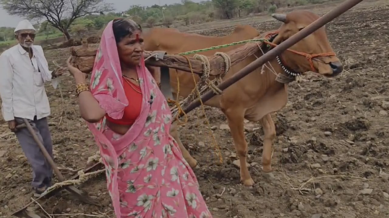 लातूर जिल्ह्यातल्या देवणी तालुक्यातील बोंबळी गावचे हे शेतकरी आहेत काशिनाथ गायकवाड. घटना घडताच मुख्यमंत्र्यांनी जिल्हाधिकारी यांना लक्ष घालण्यास सांगितले. त्यानंतर जिल्हाधिकाऱ्यांनी स्थानिक गोशाळेतून बैल तशेतकऱ्याला दिला. थेट मुख्यमंत्री देवेंद्र फडणवीस यांनी दखल घेतल्याने शेतकऱ्याने समाधान व्यक्त केले आहे.
