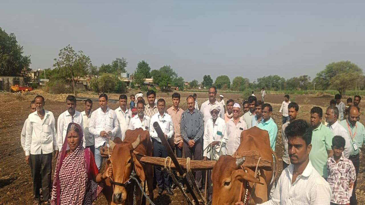 काशिनाथ गायकवाड हे शेतकरी भूमिहीन आहेत, मात्र गावातल्या अनेकांची शेती ते बटईने कसून खातात. त्यावरच त्यांच्या कुटुंबाचा उदरनिर्वाह चालतो आहे. वीज पडली आणि औत मोडला... नांगर मोडल्याने अवस्था बिकट झाली आहे..