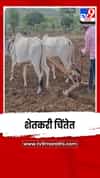 शेतजमिनी सज्ज परंतु पावसाचा अद्याप पत्ता नाही; शेतकरी चिंतेत