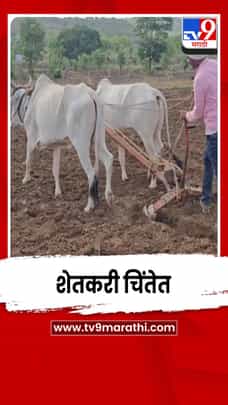 शेतजमिनी सज्ज परंतु पावसाचा अद्याप पत्ता नाही; शेतकरी चिंतेत-1690360