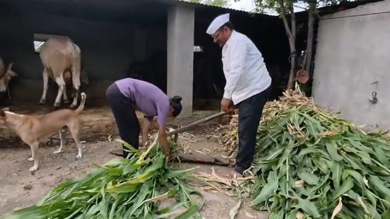 मुली आता मुलांपेक्षा कमी नाहीत, हे मोठ्या प्रमाणात सिद्ध होत आहे. आता देखील चार बहिणींनी मोठ्या जिद्देने ऊसतोडणी करणाऱ्या आई-वडिलांचं स्वप्न पूर्ण केलं आहे. सख्ख्या चार बहिणी मुंबई पोलीस दलात भरती झाल्या आहेत. 