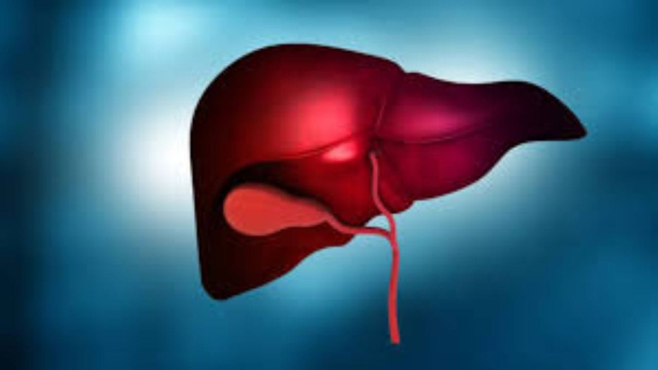 Fatty Liver Day 2026: फॅटी लिव्हर आणि कॅन्सरदरम्यान संबंध, ड