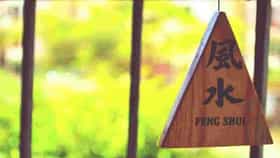 Feng Shui : तुमच्याही घरात आहेत या वस्तू? तर मग आजच बाहेर फेकून द्या.