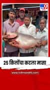 उजनी धरणात सापडला तब्बल 25 किलोंचा कटला मासा