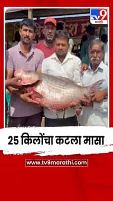 उजनी धरणात सापडला तब्बल 25 किलोंचा कटला मासा-1683794