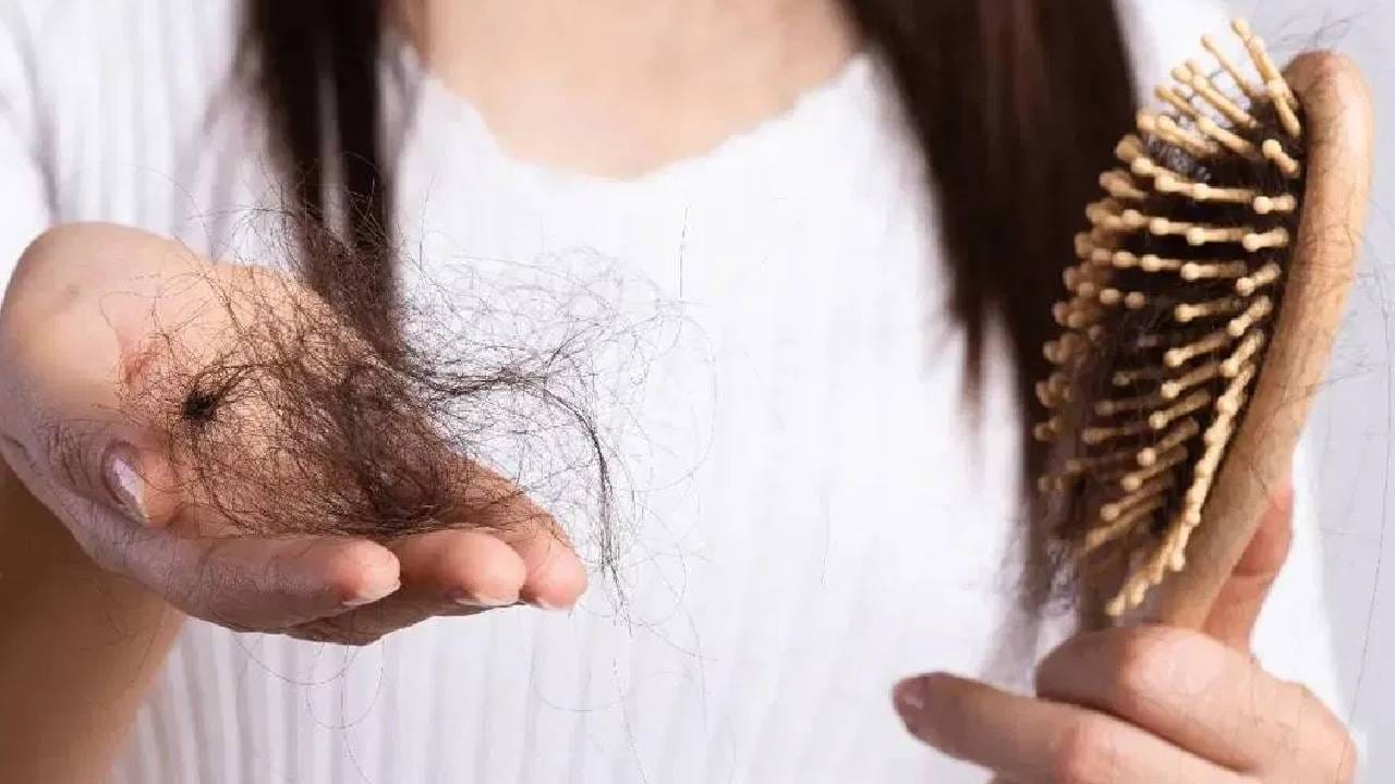 केस विंचरल्यावर तुमच्या हातात केसांचा गुच्छ येतो का? 'या' 4 तज्ज्ञांच्या टिप्स केस बनवतील काळे, दाट आणि लांब केस विंचरल्यावर तुमच्या हातात केसांचा गुच्छ येतो का? 'या' 4 तज्ज्ञांच्या टिप्स केस बनवतील काळे, दाट आणि लांब
