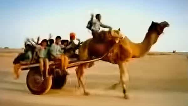त्या काळात रेडिओ आणि टीव्ही हे मनोरंजन आणि बातम्या जाणून घेण्याचे मुख्य साधन होते. यामुळे हा खास संदेश लोकांपर्यंत पोहोचवण्यासाठी वारंवार टीव्ही आणि रेडिओवर वाजवला जायचा. सकाळी जेव्हा हे गाणे लोकांच्या कानात पडायचे, तेव्हा मुलांच्या मनात अभ्यासाबद्दल नवीन उत्साह आणि जोश जागृत होत असे. खेड्यांपासून शहरांच्या गल्ल्यांपर्यंत सर्वत्र या गाण्याची धूम माजलेली असे. खरं तर, हे गाणे तयार करण्याचा मुख्य उद्देश फक्त लोकांचे मनोरंजन करणे नव्हता, तर संपूर्ण समाजाला हे समजवणे होते की शिक्षण घेणे प्रत्येक मुलाचा मूलभूत अधिकार आहे.