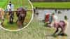 IMD Monsoon : एल निनोचा मान्सूनवर कब्जा, राज्यात या भागात सर्वात कमी पाऊस; नव्या अंदाजाने समोर मोठं संकट!