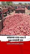 चाळीसगाव कांदा मार्केटमध्ये कांद्याच्या दरात ४०० ते ५०० रुपयांची वाढ