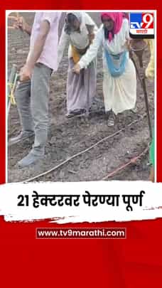 कृषी विभागाचं आवाहन डावलून जळगावात 21 हेक्टरवर पेरण्या पूर्ण-1688930