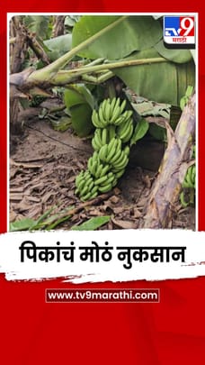 जळगावात अवकाळीचा कहर; गारपीट, मुसळधार पाऊस, वादळी वाऱ्याने मोठं नुकसान-1680871