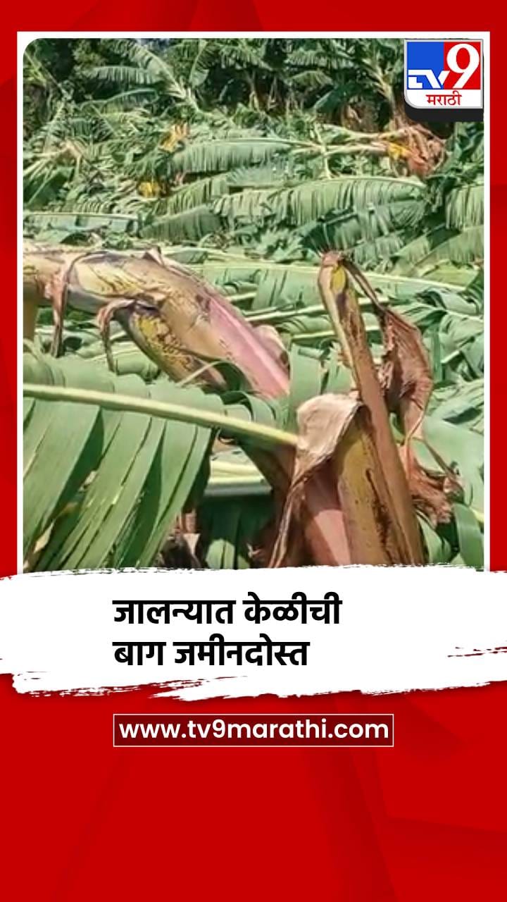 जालन्यात मान्सूनपूर्व पावसाचा केळीबागांना फटका