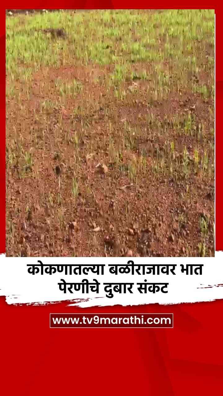कोकणातल्या बळीराजावर भात पेरणीचे दुबार संकट-1691783