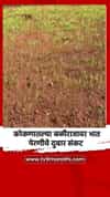 कोकणातल्या बळीराजावर भात पेरणीचे दुबार संकट