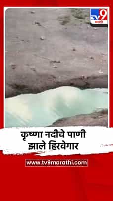 कराड तालुक्यातून वाहणाऱ्या कृष्णा नदीचे पाणी झाले हिरवगार-1691951