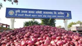 लासलगावात उन्हाळी कांद्याच्या दरात मोठी घसरण, शेतकऱ्यांच्या चिंतेत आणखी वाढ