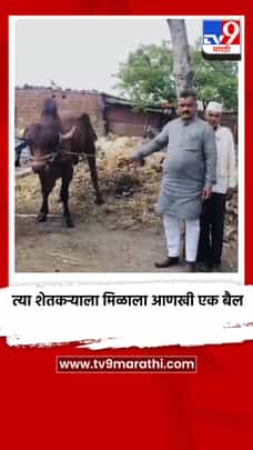 त्या शेतकऱ्याला मिळाला आणखी एक बैल-1690462
