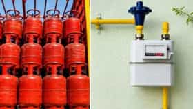 सरकारच्या LPG कनेक्शनच्या नव्या नियमाकडे दुर्लक्ष अजिबात नको, अन्यथा...
