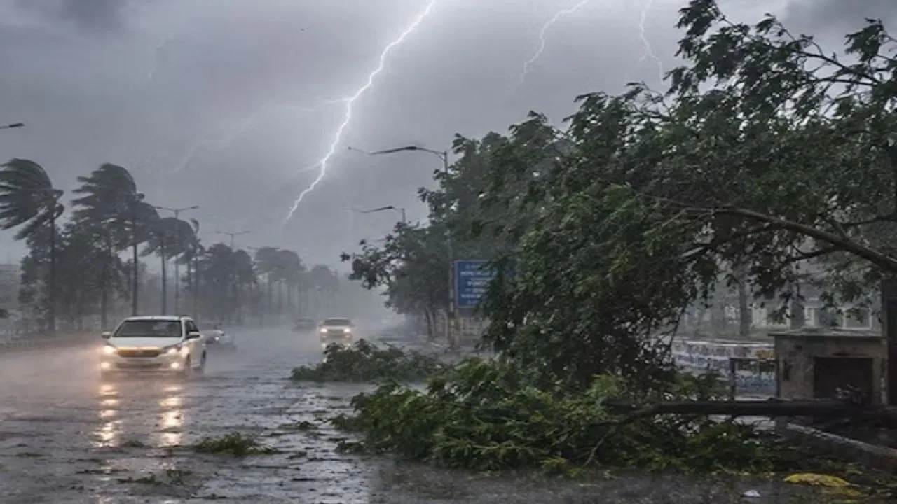 Rain Update : 24, 25, 26, 27, 28 जून रोजी तुफान पाऊस, थेट अतिवृष्टीने धरणं भरणार, पंजाबराव डख यांचा नवा हवामान अंदाज समोर! Rain Update : 24, 25, 26, 27, 28 जून रोजी तुफान पाऊस, थेट अतिवृष्टीने धरणं भरणार, पंजाबराव डख यांचा नवा हवामान अंदाज समोर!