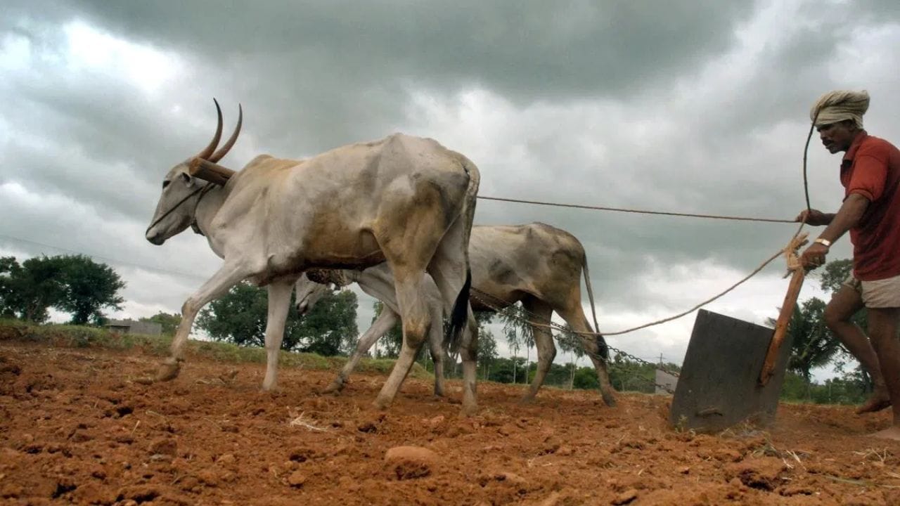 शेतकऱ्यांनो पेरणीची घाई नकोच! 15 जूनपर्यंत राज्यात मॉन्सूनची