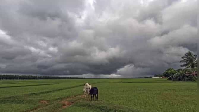 जूनच नाही, जुलैही कोरडा जाणार? ऑगस्टमध्ये...? पावसाबाबतची मोठी अपडेट समोर, महाराष्ट्राचं टेन्शन वाढणार?