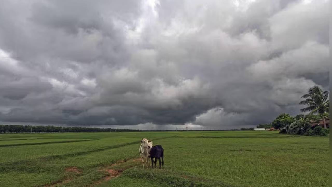 जूनच नाही, जुलैही कोरडा जाणार? ऑगस्टमध्ये...? पावसाबाबतची मोठी अपडेट समोर, महाराष्ट्राचं टेन्शन वाढणार? जूनच नाही, जुलैही कोरडा जाणार? ऑगस्टमध्ये...? पावसाबाबतची मोठी अपडेट समोर, महाराष्ट्राचं टेन्शन वाढणार?