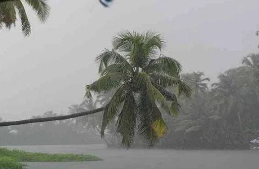 दरम्यान, आता मान्सून आल्याने घरांची डागडुजी करावी, शेतकऱ्यांनी पेरणीसाठी बियांणांची, खतांची तजवीज करावी, असे सांगण्यात आले आहे. तसेच शहरी भागात नालेसफाई तसेच इतर महत्त्वाची कामे लवकर उरकून घ्यावीत, असेही आवाहन करण्यात आले आहे. 