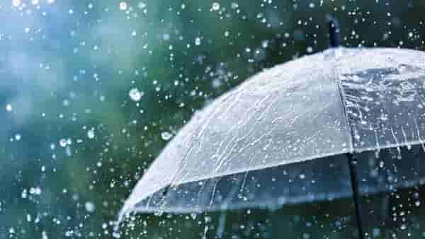 Monsoon Update : मान्सूनच्या प्रवासात नेमका कशाचा अडथळा? किती टक्के पाऊस पडणार? हवामान तज्ज्ञ सानप यांनी दिली मोठी अपडेट