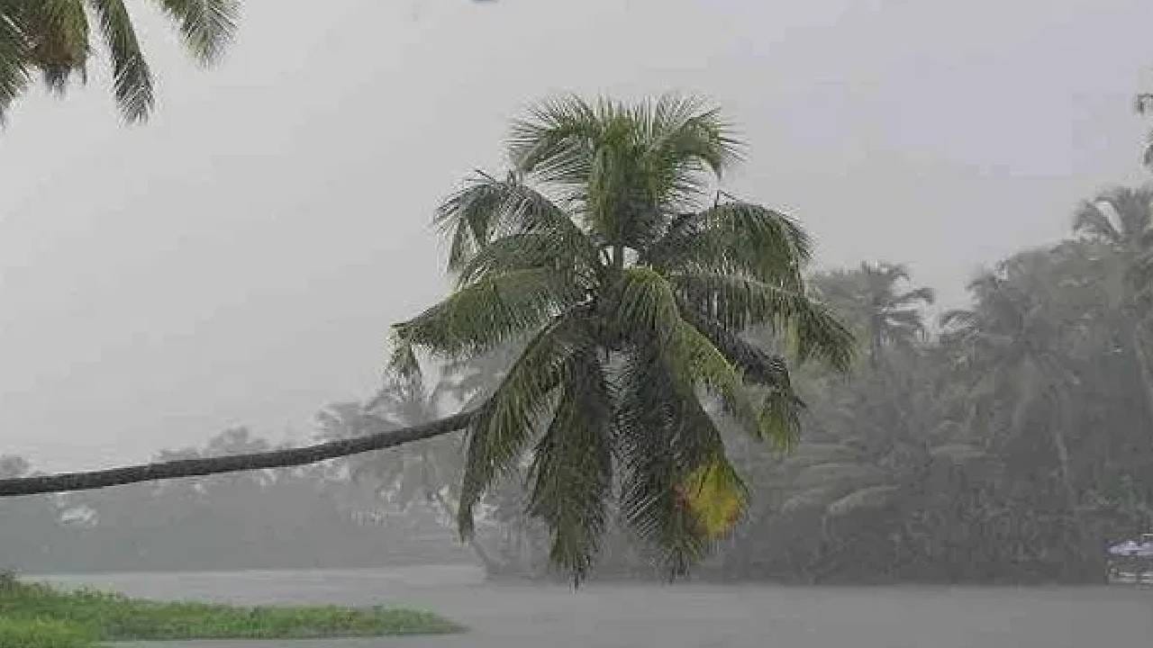 IMD Monsoon Update :  गुड न्यूज! आता वेटिंग नाहीच, अलर्ट आलाच… कधीही दणादण कोसळणार, मान्सूनची मोठी अपडेट लगेच करा चेक