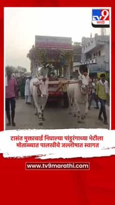 संत मुक्ताबाई निघाल्या पांडुरंगाच्या भेटीला, मोताळ्यात पालखीचे जल्लोषात स्वागत-1699917