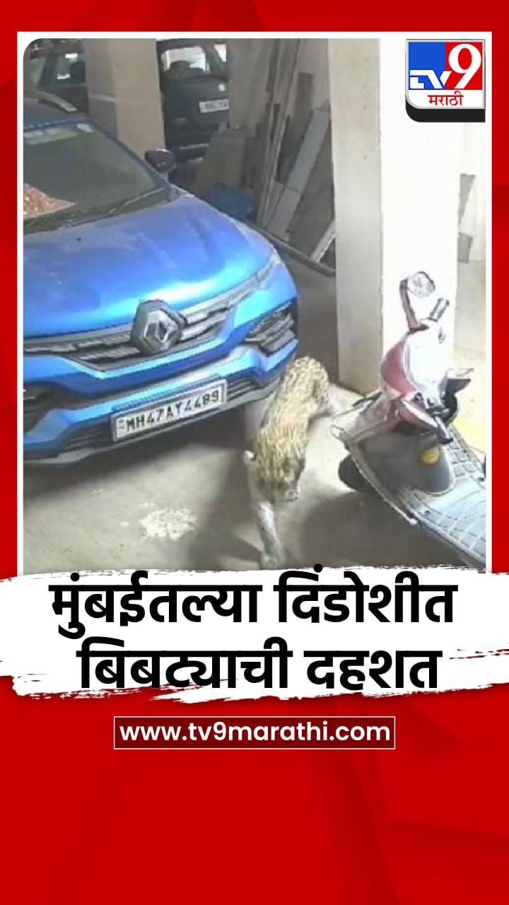 मुंबईतल्या दिंडोशीत बिबट्याची दहशत-1690542