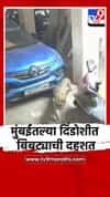 मुंबईतल्या दिंडोशीत बिबट्याची दहशत