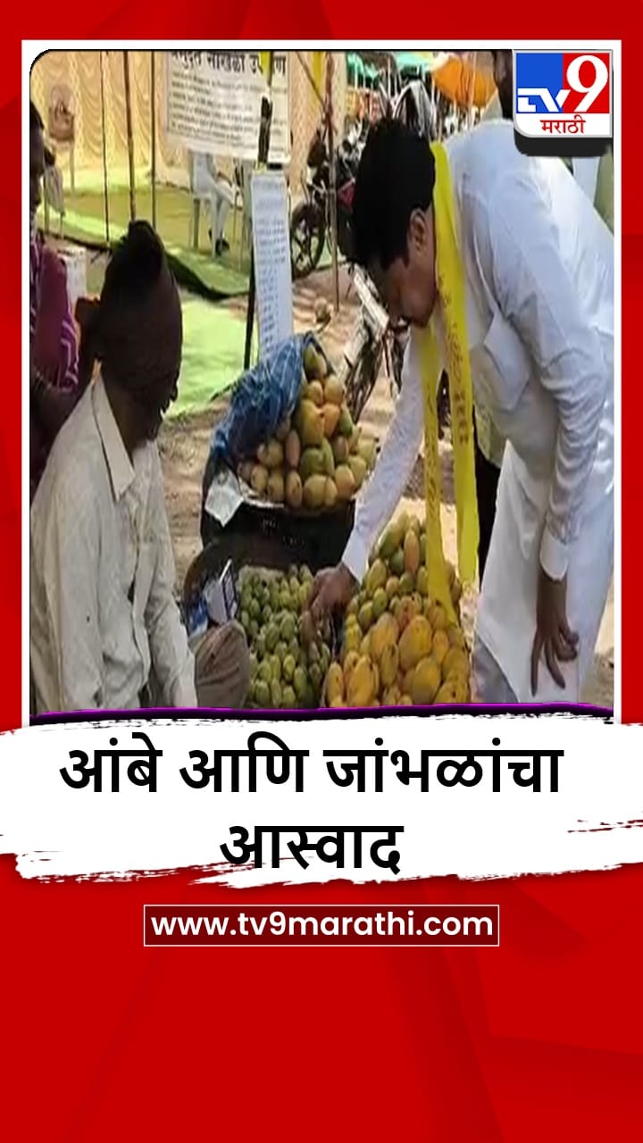Bhandara : नाना पटोले यांनी घेतला गावरान आंबे आणि जांभळाचा आस्वाद-1688625