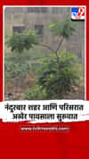 नंदुरबार शहर आणि परिसरात अखेर पावसाला सुरुवात