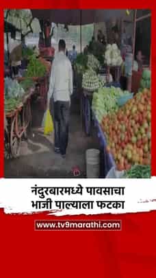नंदुरबारमध्ये पावसाचा भाजी पाल्याला फटका-1700534