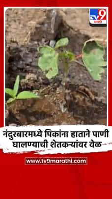 नंदुरबारमध्ये पिकांना हाताने पाणी घालण्याची शेतकऱ्यांवर वेळ-1701161
