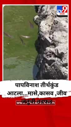 पापविनाश तीर्थकुंड आटला...मासे,कासव ,जीव जंतूंची तडफड-1693697