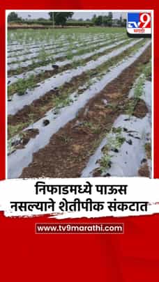 पावसाअभावी निफाडमध्ये पीक संकटात, जून महिना कोरडाच गेला-1699946