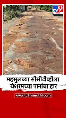 महसुलच्या सीसीटीव्हीला बेशरमच्या पानांचा हार-1691675