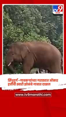 सिंधुदुर्ग -गावकऱ्यांच्या गराड्यात ओंकार हत्तीची स्वारी झोळंबे गावात दाखल-1689072