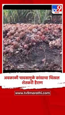 अवकाळी पावसामुळे कांद्याचा चिखल, शेतकरी हैराण-1687243