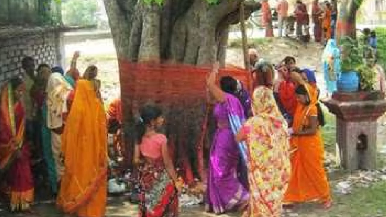 15 जून रोजी पवित्र योग, पिंपळाच्या 108 प्रदक्षिणांमागील धार्मिक महत्त्व जाणून घ्या 15 जून रोजी पवित्र योग, पिंपळाच्या 108 प्रदक्षिणांमागील धार्मिक महत्त्व जाणून घ्या