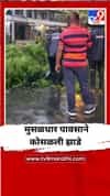 मुसळधार पावसाने कोसळली झाडे