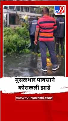 मुसळधार पावसाने कोसळली झाडे-1696853
