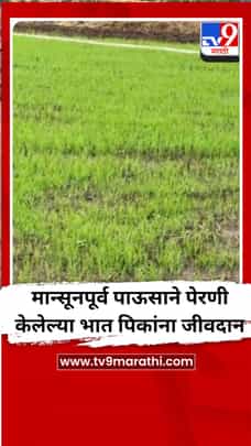 मान्सूनपूर्व पाऊसाने पेरणी केलेल्या भात पिकांना जीवदान-1697618
