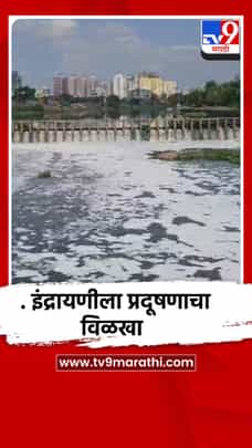 इंद्रायणी नदीला प्रदूषणाचा विळखा, चिंता वाढली-1699440